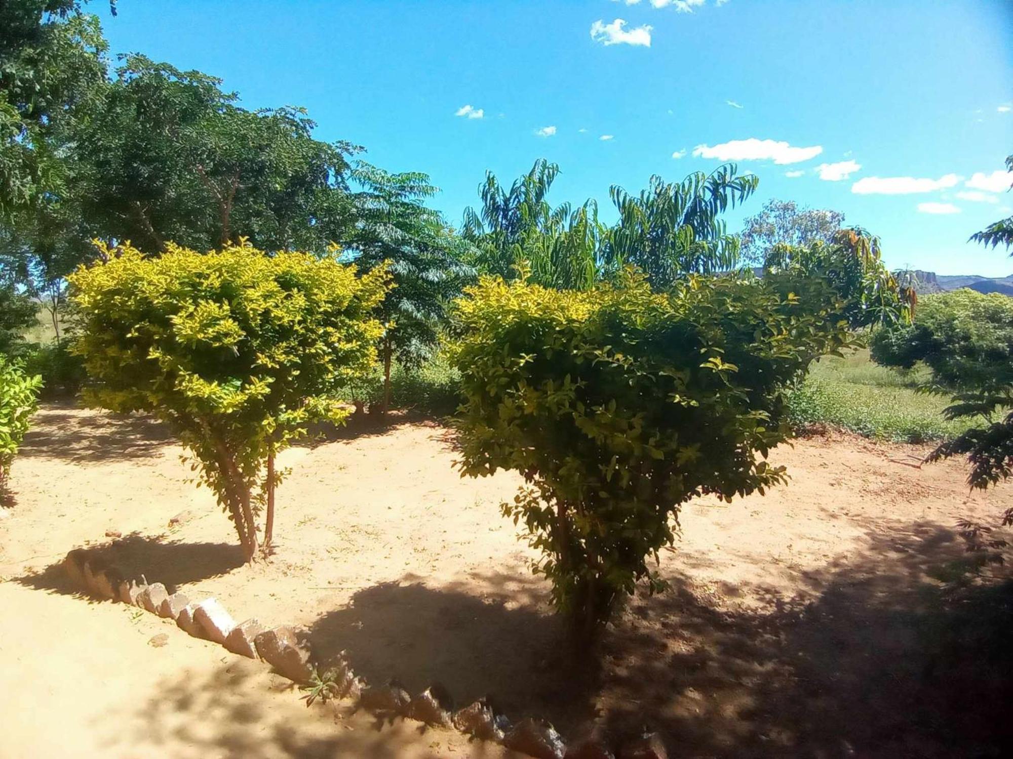 Ranohira Ecolodge D'Isalo المظهر الخارجي الصورة